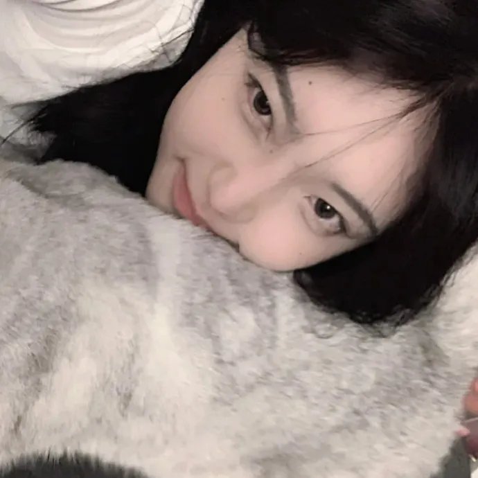 猪猪侠·不可思议的世界